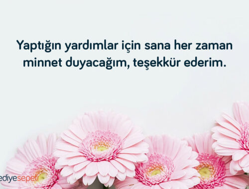 Teşekkür Mesajı İçin En Uygun GIF Seçimi [2026 Rehberi] - Kapak Görseli